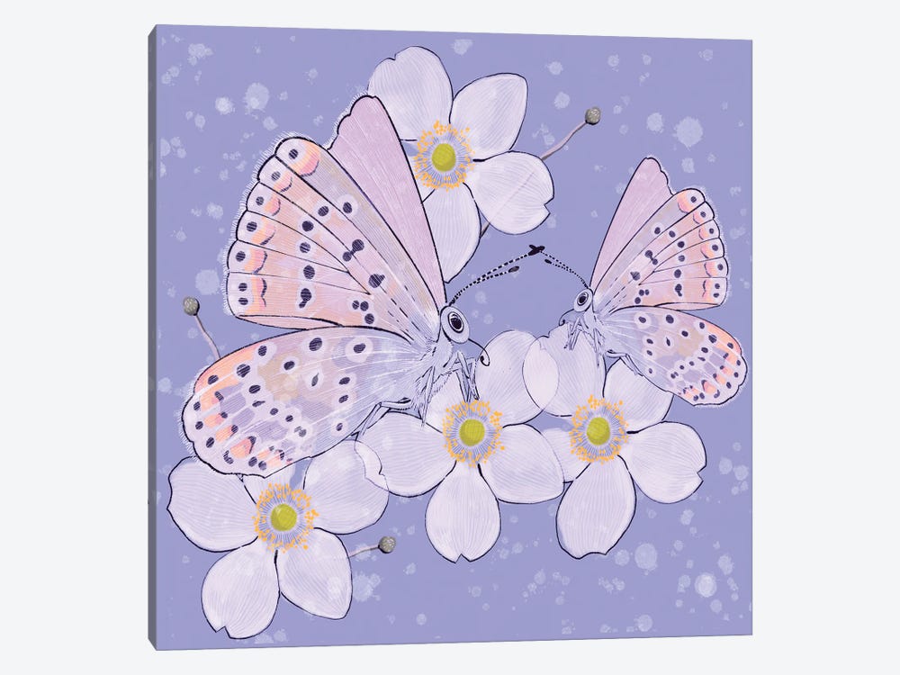 Spring Butterflies by Thomas Little 1-piece Canvas Wall Art