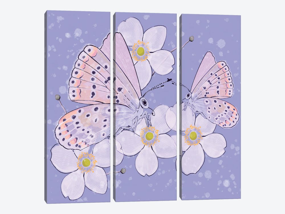 Spring Butterflies by Thomas Little 3-piece Canvas Artwork