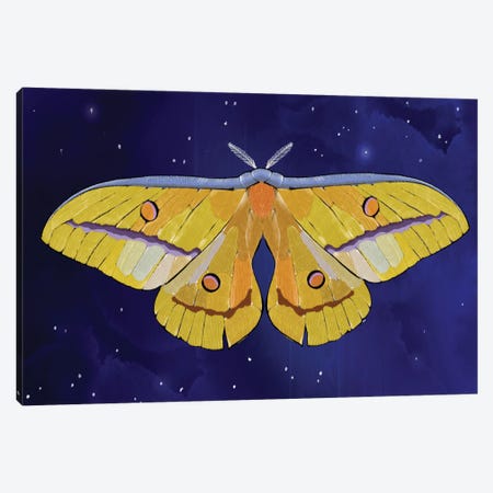 Starlight Star Bright Moth Canvas Print #TLT105} by Thomas Little Art Print