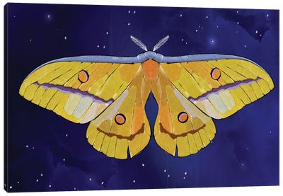Starlight Star Bright Moth Canvas Art Print - Thomas Little