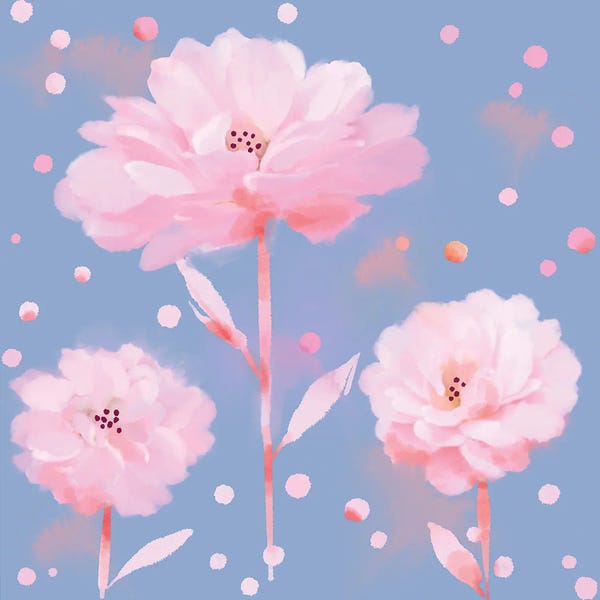 Thomas Little: Bloom Pop by Thomas Little