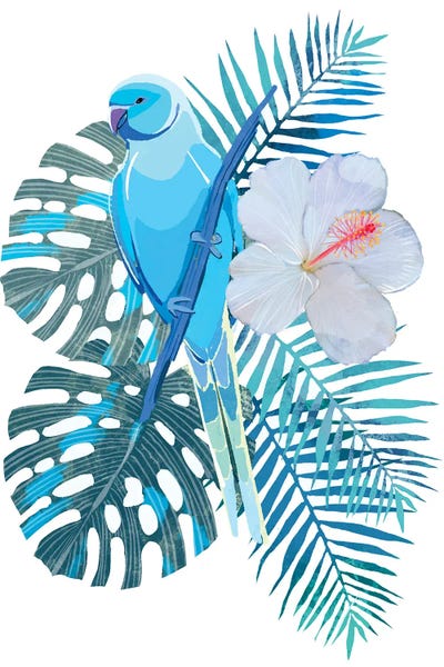 Parrots: Tropical Blue by Thomas Little