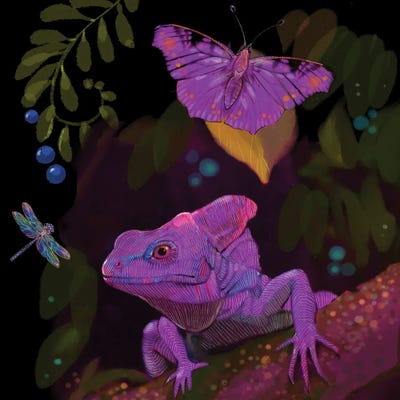 Violet Lizard by Thomas Little gallery poster