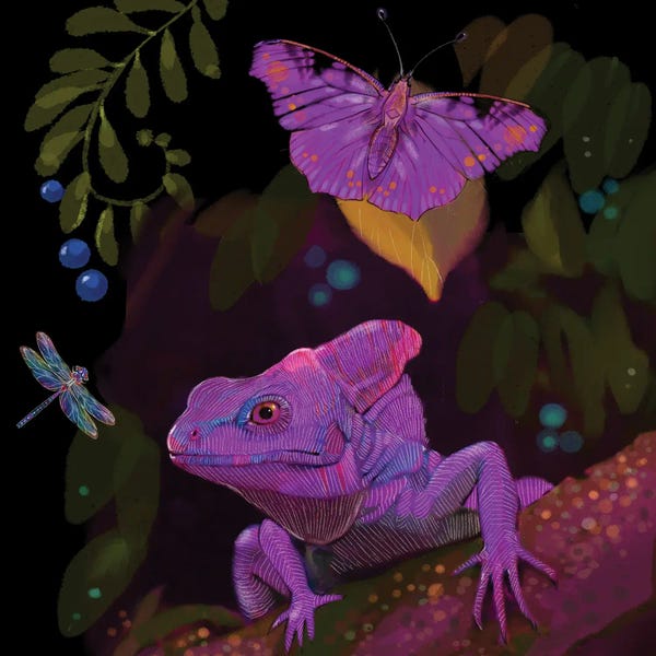 Lizards: Violet Lizard by Thomas Little