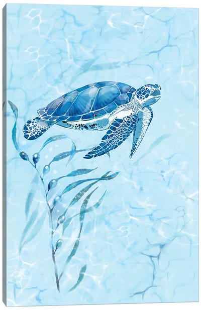 Blue Sea Turtle Canvas Art Print - Turtle Art