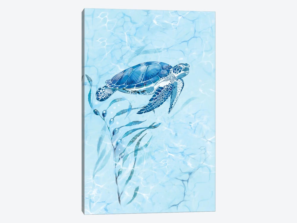 Blue Sea Turtle by Thomas Little 1-piece Canvas Art Print