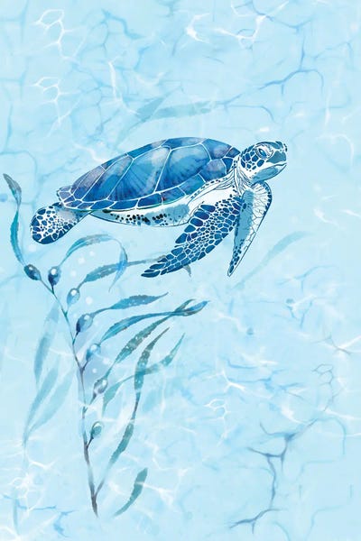 Turtles: Blue Sea Turtle by Thomas Little