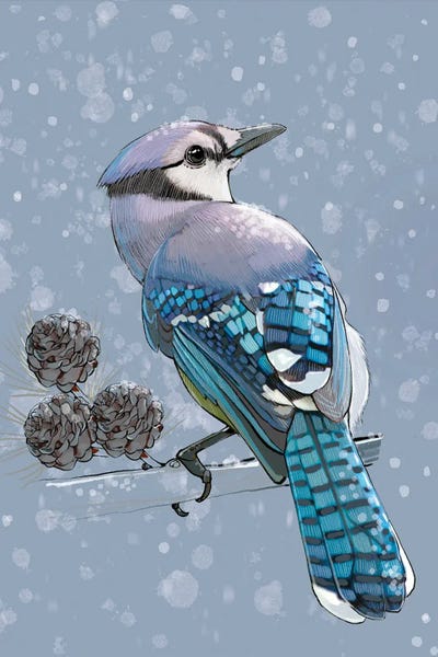 Winter Bluejay by Thomas Little framed canvas print
