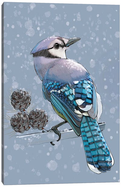 Winter Bluejay Canvas Art Print - Jay Art