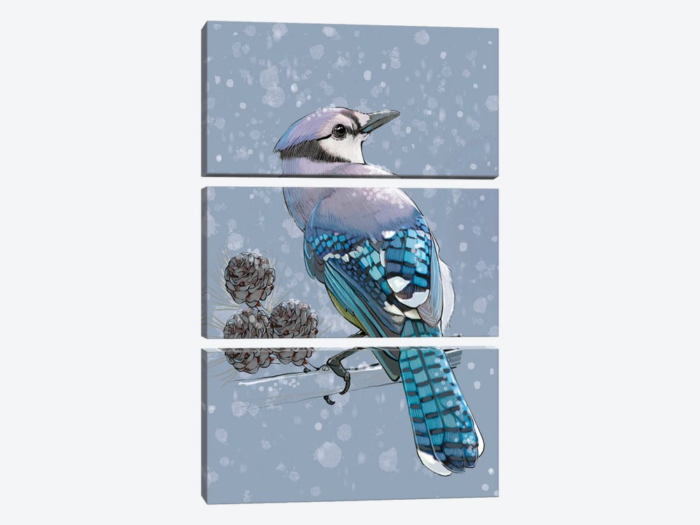 Winter Bluejay by Thomas Little 3-piece Canvas Wall Art