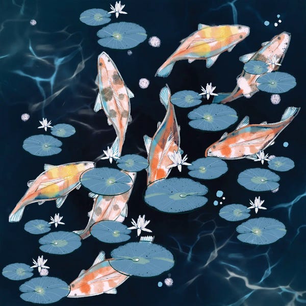 Lilies: Koi Boi by Thomas Little