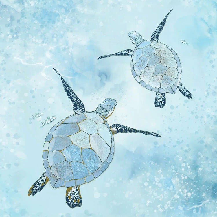 Turquoise Sea Turtles Redo