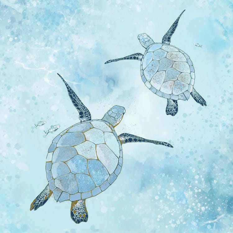 Turquoise Sea Turtles Redo by Thomas Little wall art