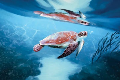 Poipu Reflections by Thomas Little framed canvas print