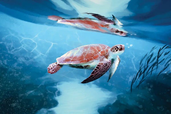Turtles: Poipu Reflections by Thomas Little