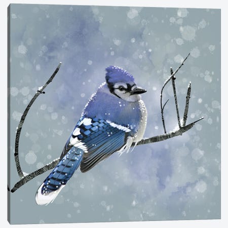 Blue Winter Morning Canvas Print #TLT12} by Thomas Little Canvas Art
