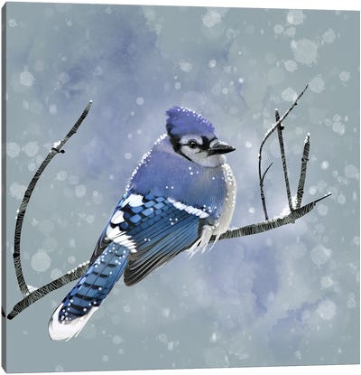 Blue Winter Morning Canvas Art Print - Jay Art