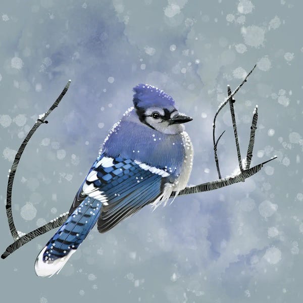 Thomas Little: Blue Winter Morning by Thomas Little