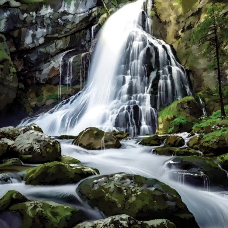 Forest Waterfall