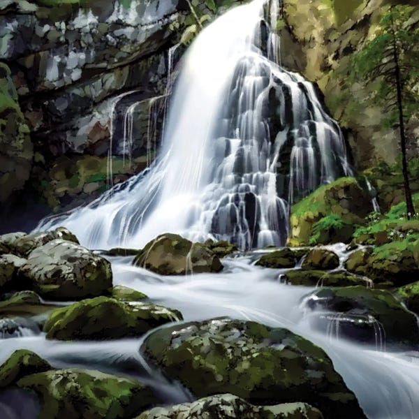 Thomas Little: Forest Waterfall by Thomas Little