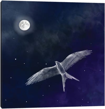 Night Flight Canvas Art Print - Thomas Little