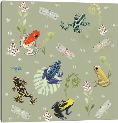 Dart Frogs Canvas Art Print