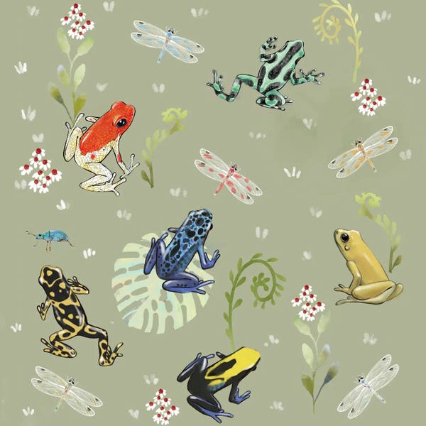 Thomas Little: Dart Frogs by Thomas Little