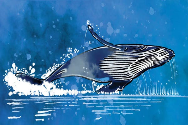 Humpback Whales: Breach by Thomas Little