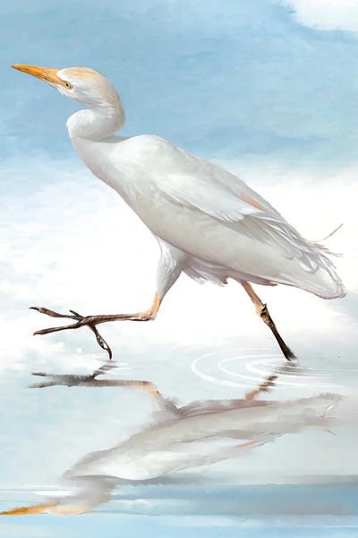 Egret Reflection by Thomas Little art print