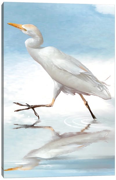 Egret Reflection Canvas Art Print - Egret Art
