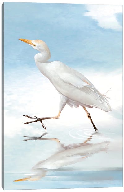 Egret Reflection II Canvas Art Print - Egret Art