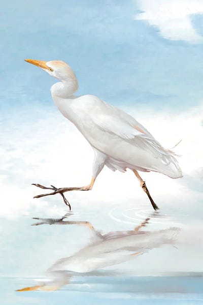 Thomas Little: Egret Reflection II by Thomas Little