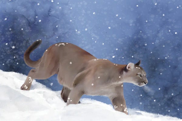 Thomas Little: Puma Dawn by Thomas Little