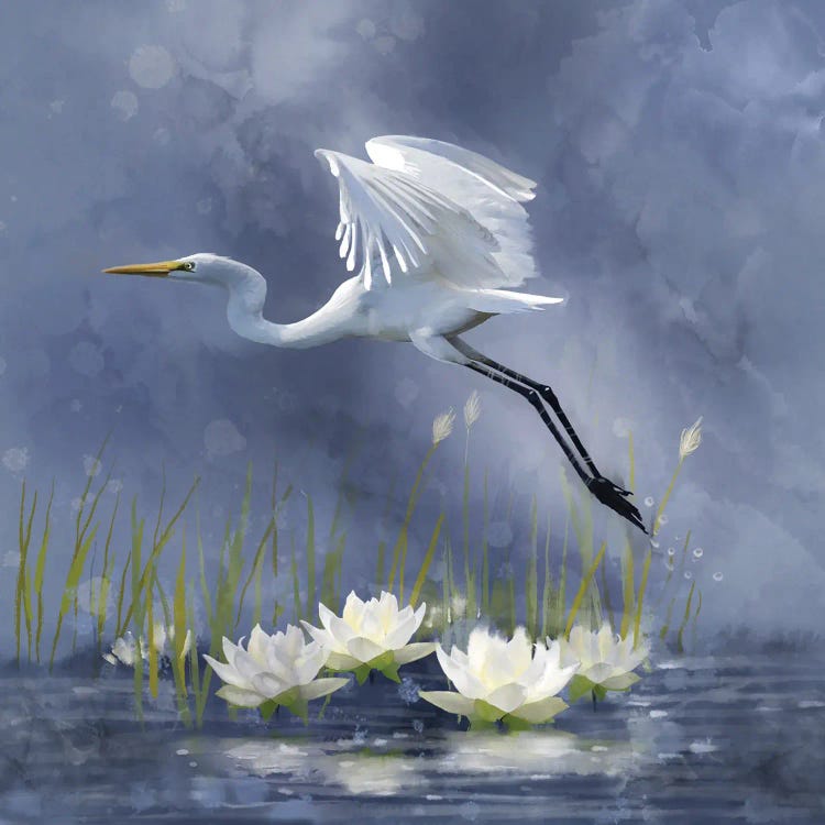 Egret Dawn Flight