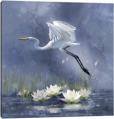 Egret Dawn Flight Canvas Art Print - Lily Art