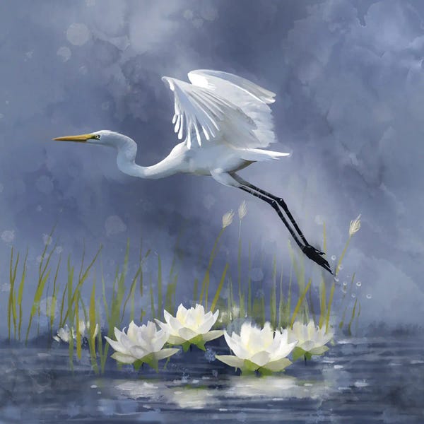 Asian Décor: Egret Dawn Flight by Thomas Little