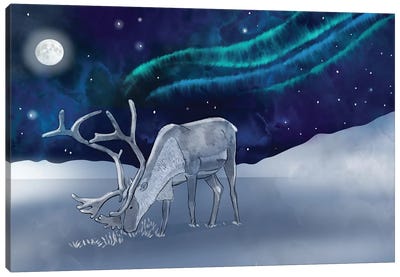 Northern Lights Canvas Art Print - Reindeer Art