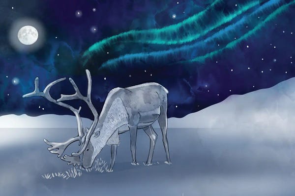 Aurora Borealis: Northern Lights by Thomas Little