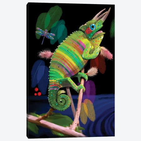 Rainbow Chameleon Canvas Print #TLT159} by Thomas Little Art Print
