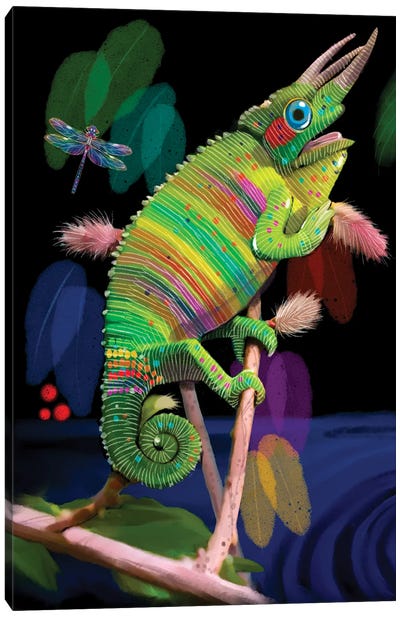 Rainbow Chameleon Canvas Art Print - Dragonfly Art