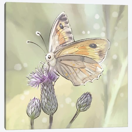 Butterfly In The Real World Canvas Print #TLT15} by Thomas Little Canvas Print