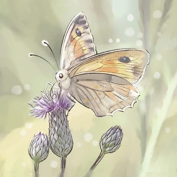 Thomas Little: Butterfly In The Real World by Thomas Little