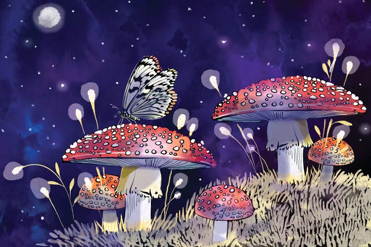 Midnight Mushrooms