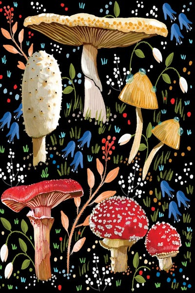 Thomas Little: Mushroom Love by Thomas Little