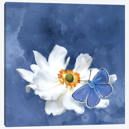 Blue Butterfly White Flower Canvas Print #TLT163} by Thomas Little Canvas Art
