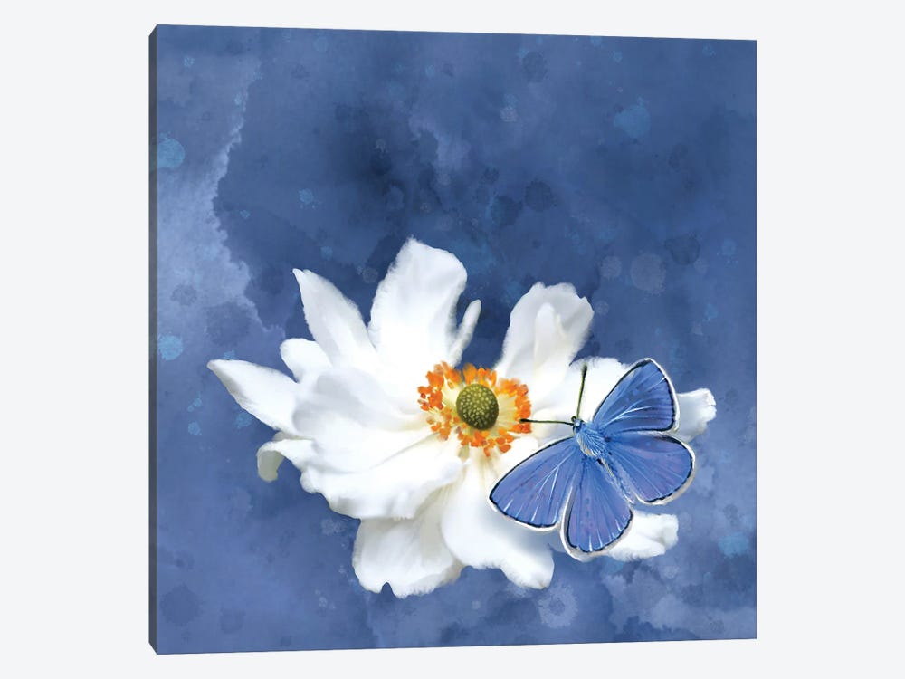 Blue Butterfly White Flower by Thomas Little 1-piece Art Print