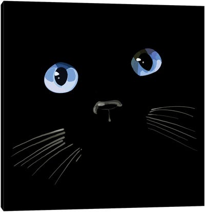 Black Cat Blue Eyes Canvas Art Print - Thomas Little