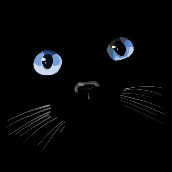 Black & White & Blue: Black Cat Blue Eyes by Thomas Little