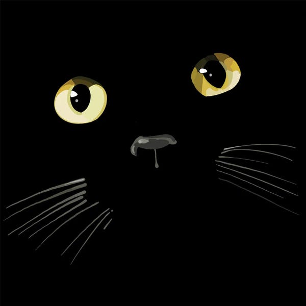 Thomas Little: Black Cat Gold Eyes by Thomas Little