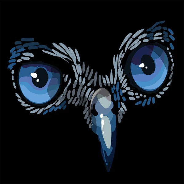 Thomas Little: Wise Eyes by Thomas Little